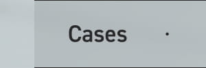 Cases