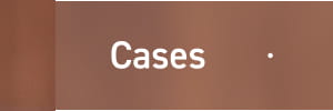 Cases