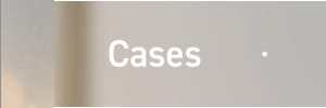Cases