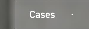 Cases