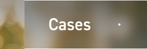 Cases