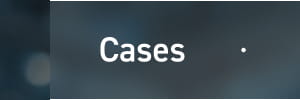 Cases