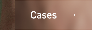 Cases