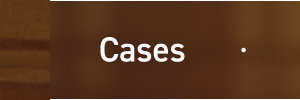 Cases