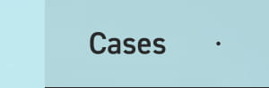 Cases
