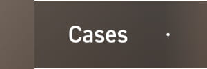 Cases