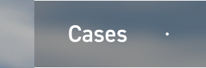 Cases