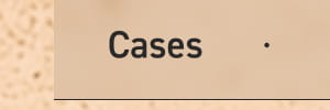 Cases