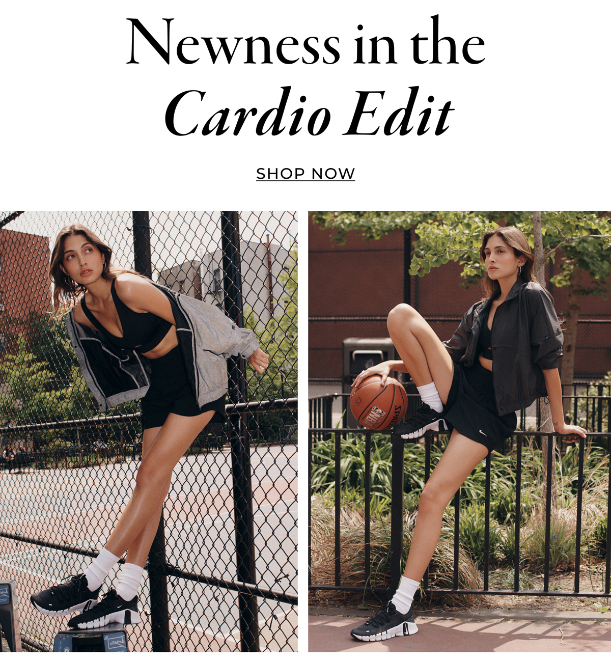 Cardio and Training