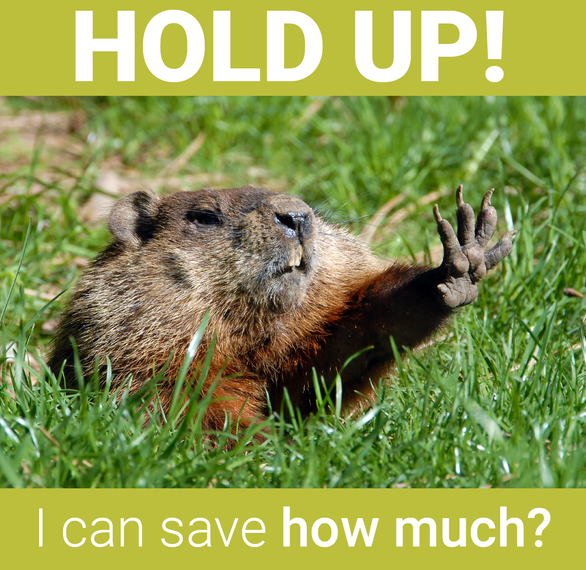 Did I hear that correct? Frame Destination