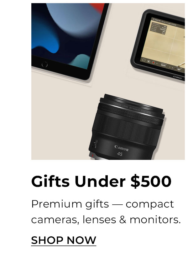 gifts under $500