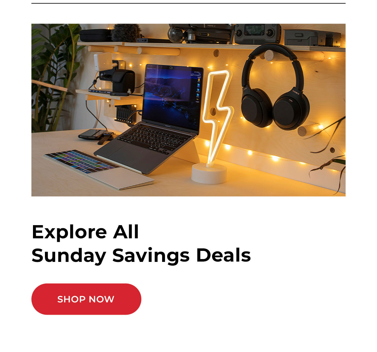 explore all labor day savings