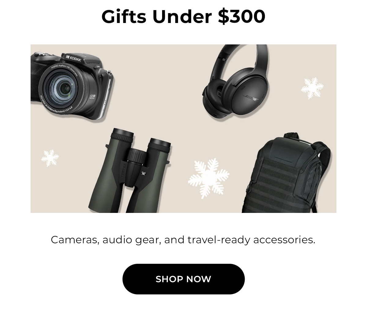 gifts under $300