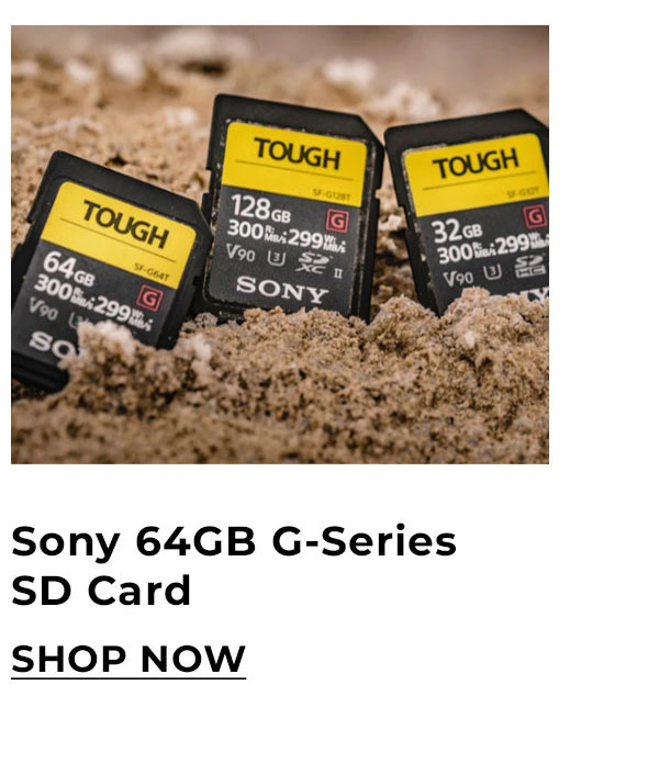 sony 64GB G series SD Card