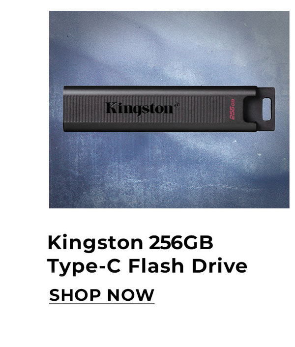 Kingston 256GB type C flash drive