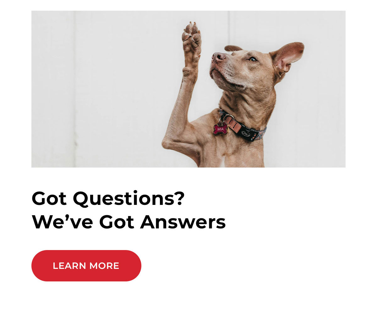 got questions? we've got answers