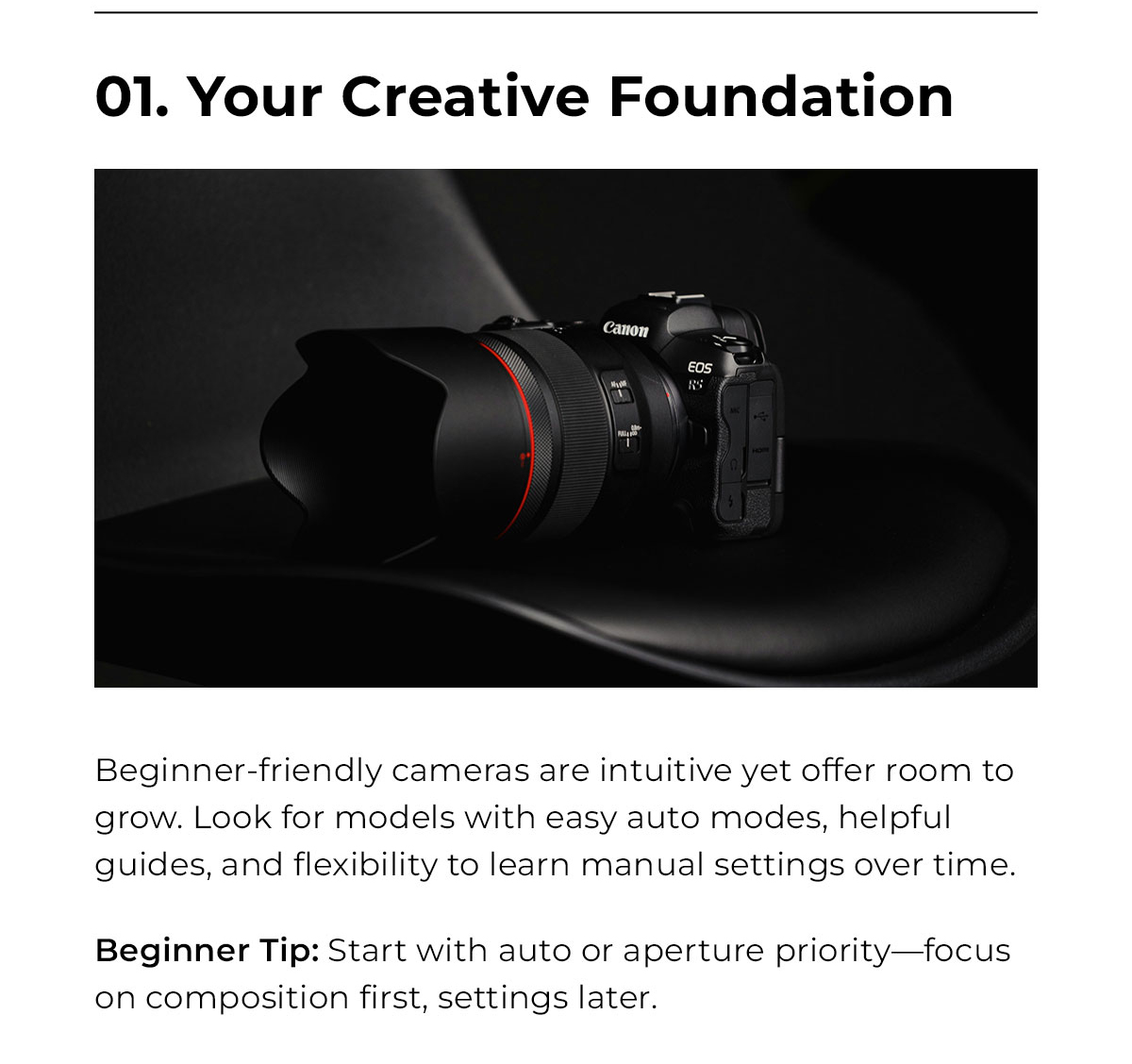 your creative foundation beginner friendly cameras