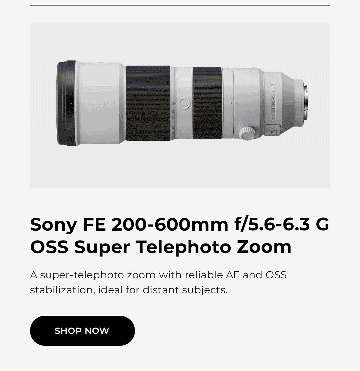 Sony FE 200-600mm f/5.6-6.3 G OSS Super Telephoto Zoom Lens
