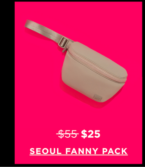 Aspen Seoul Fanny Pack