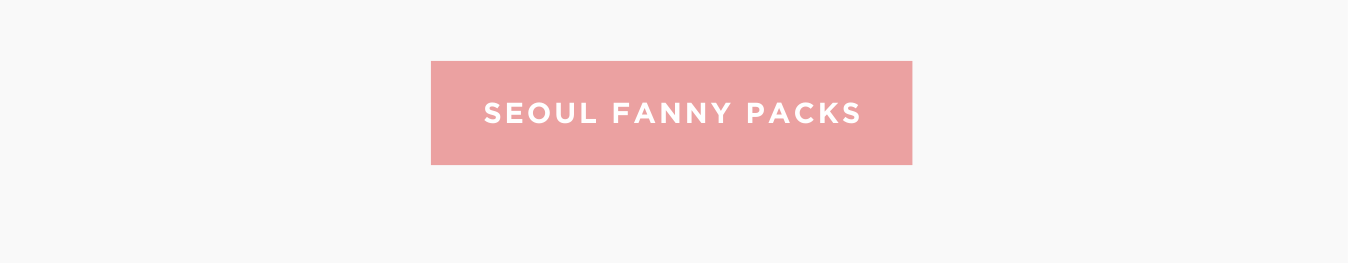 Shop Seoul Fanny Packs