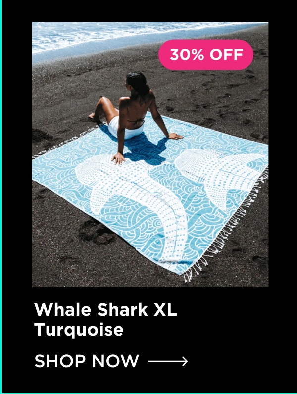 Whale Shark XL Turquoise XL | Shop Now