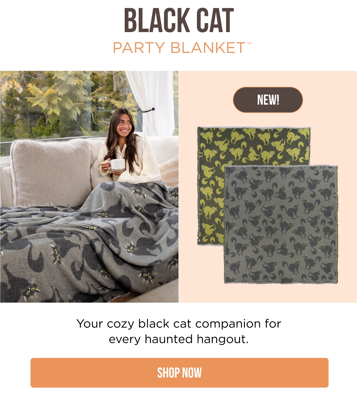 BLACK CAT PARTY BLANKET™ NEW! Your cozy black cat companion for every haunted hangout. [SHOP NOW]