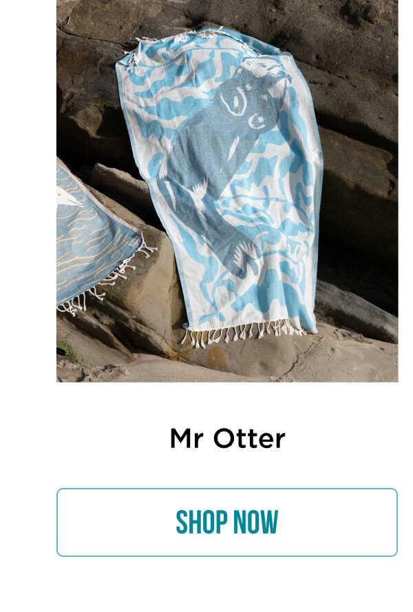 Mr. Otter | Shop Now