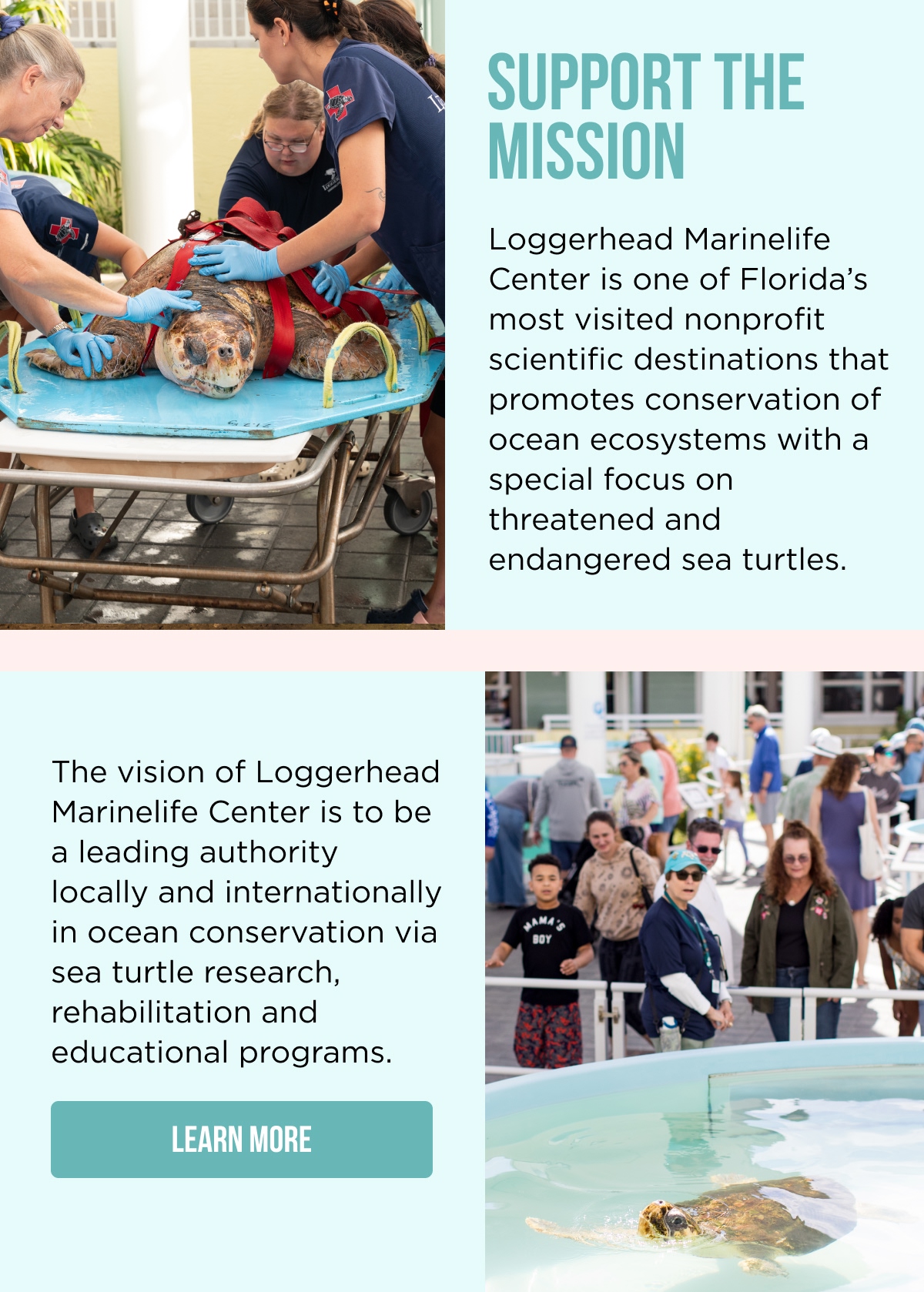 SUPPORT THE MISSION Loggerhead Marinelife Center is one of Florida's most visited nonprofit scientific destinations that promotes conservation of ocean ecosystems with a special focus on threatened and endangered sea turtles.  The vision of Loggerhead Marinelife Center is to be a leading authority locally and internationally in ocean conservation via sea turtle research, rehabilitation and educational programs. [[LEARN MORE]]