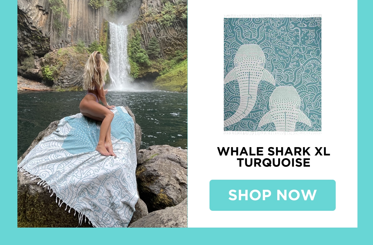 WHALE SHARK XL TURQUOISE [SHOP NOW]