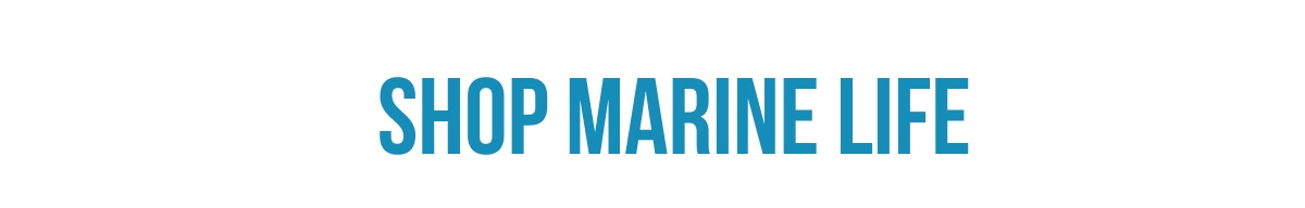 Shop Marine Life 