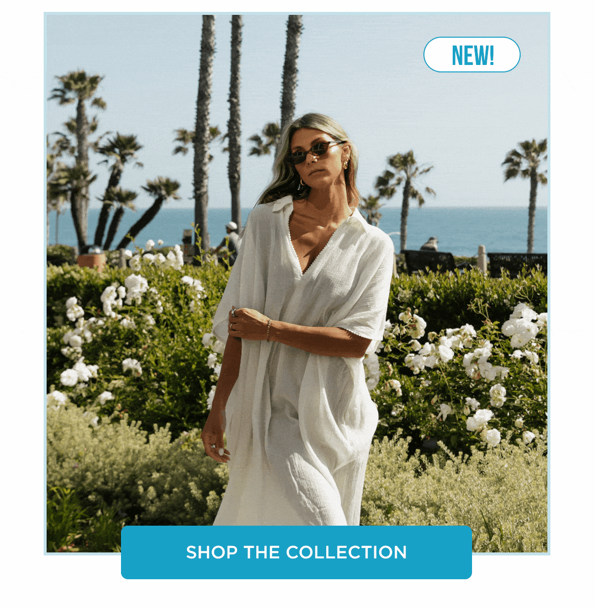 NEW! [SHOP THE COLLECTION]