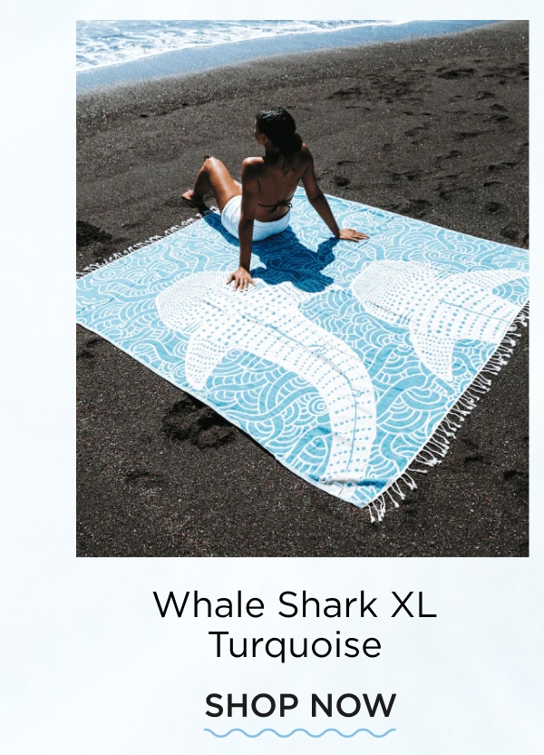 Whale Shark XL Turquoise [SHOP NOW]