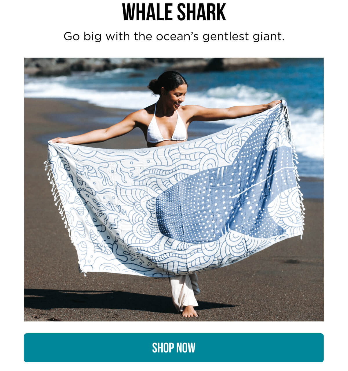 Whale Shark | Go big with the ocean's gentlest giant | Shop Now