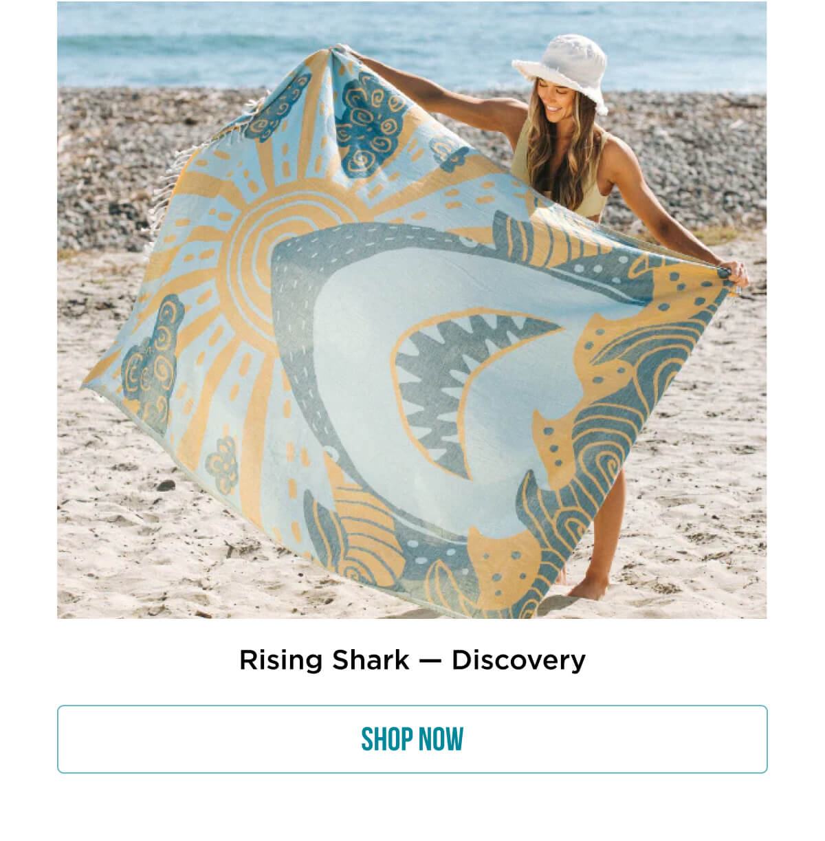 Rising Shark - Discovery | Shop Now