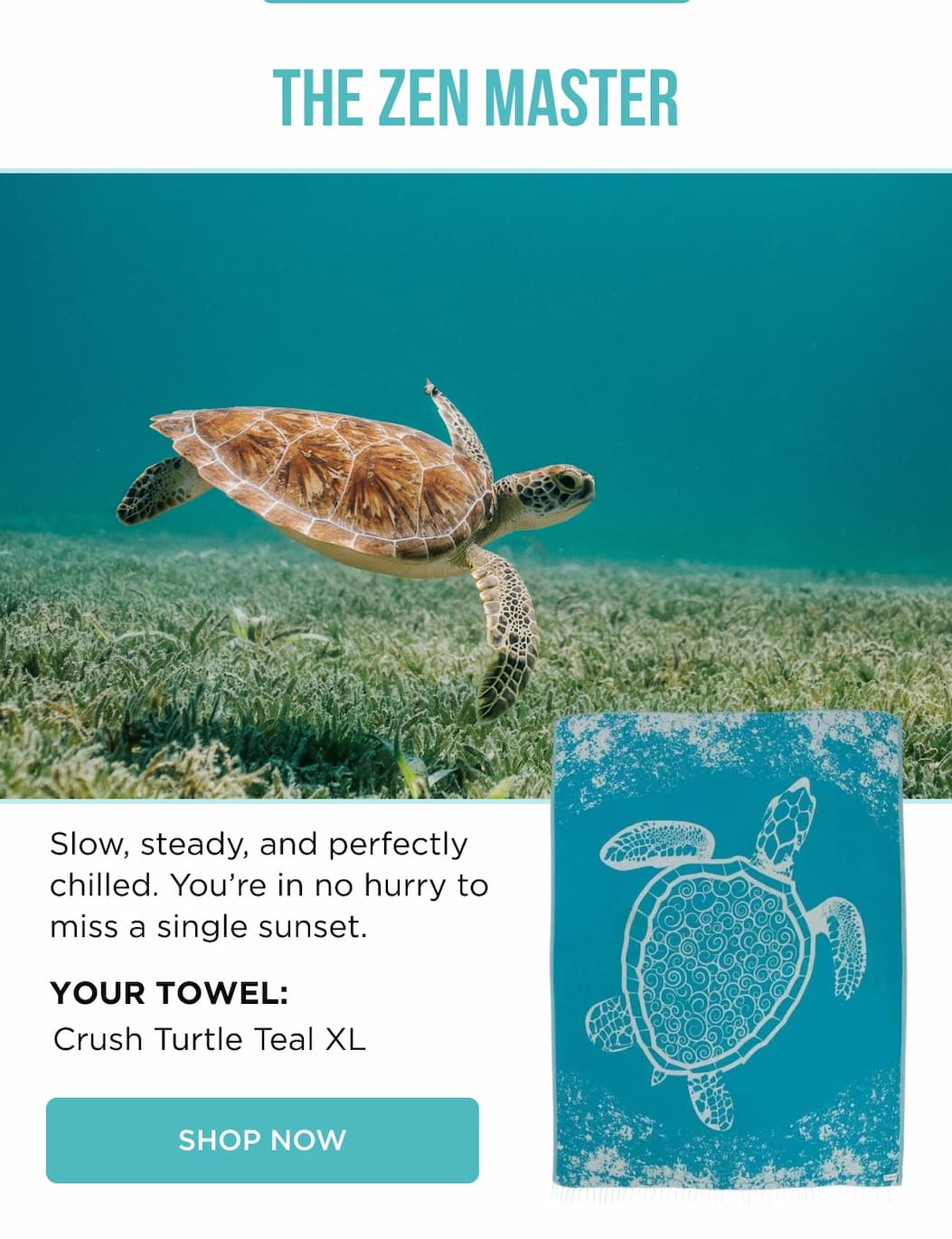 THE ZEN MASTER | Your Towel: Crush Turtle Teal XL [SHOP NOW]