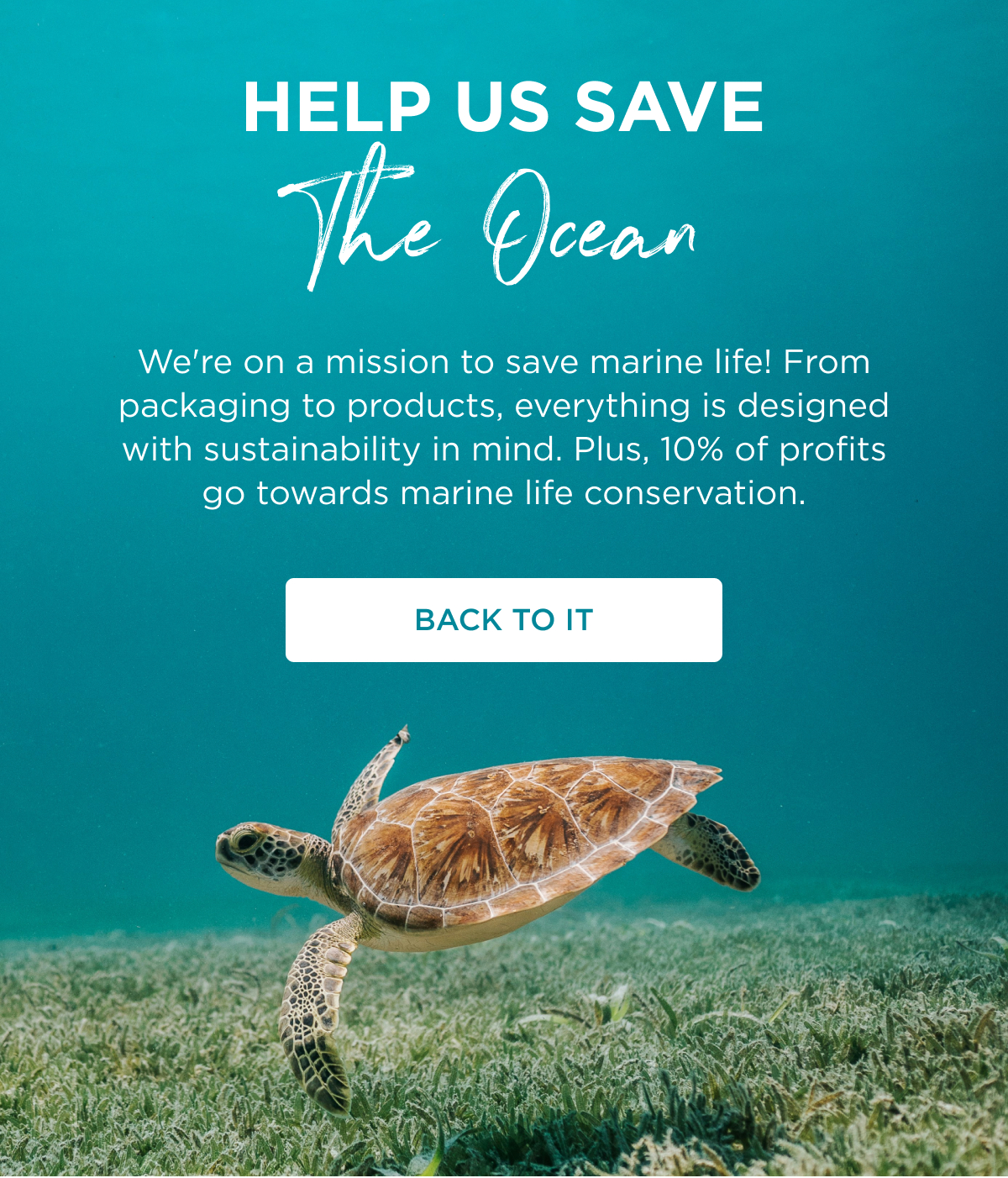 Help us Save the Ocean | We're on a mission to save marine life! From packaging to products, everything is designed with sustainability in mind. Plus, 10% of profits go towards marine life conservation | Back to it