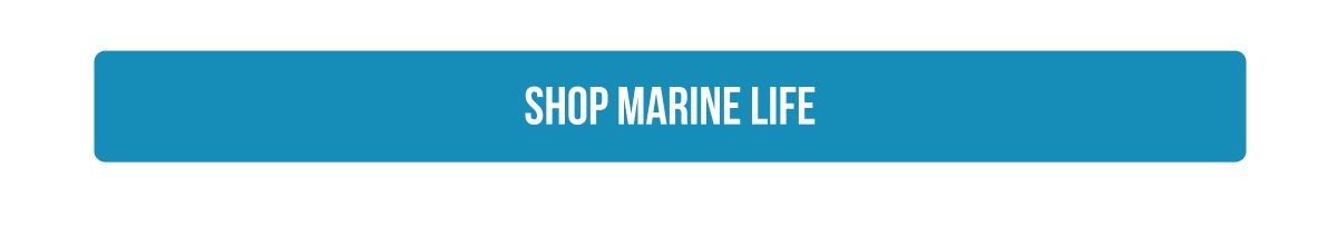 [SHOP MARINE LIFE]