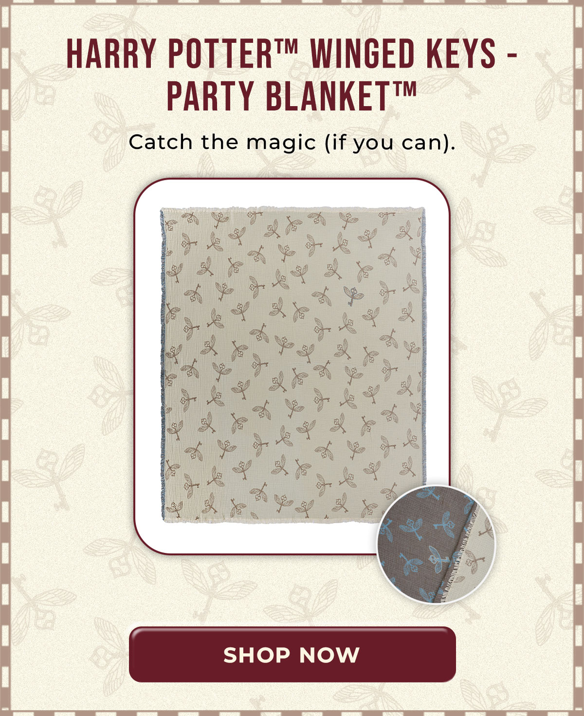 Harry Potter Winged Keys - Party Blankets | Shop Now