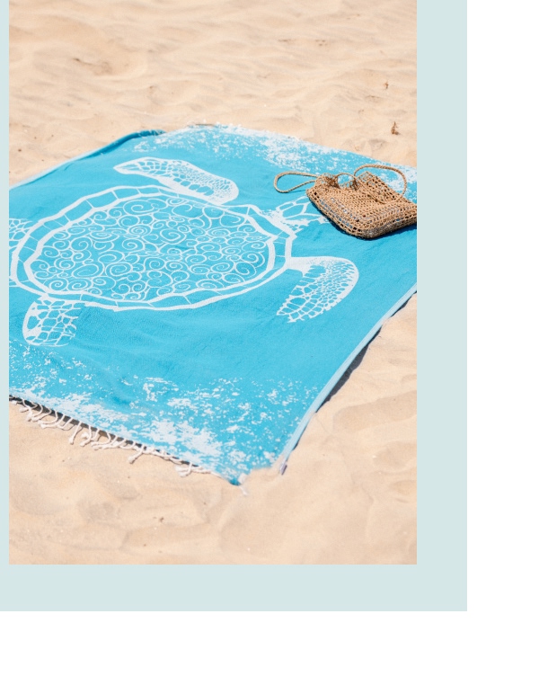 Crush Turtle Teal XL