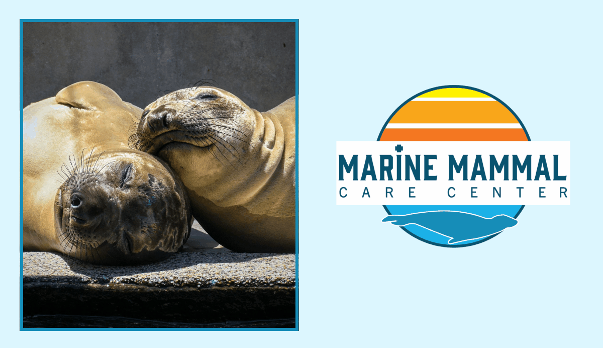 10% of Profits go toward marine conservation organization