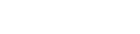 Custom + Bulk Orders