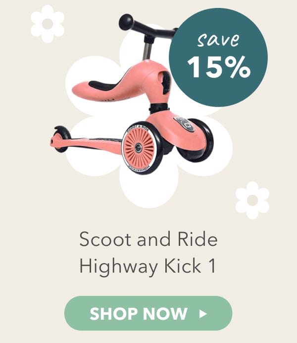 Scoot and Ride Highway Kick 1