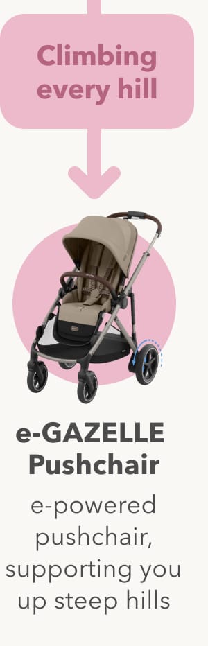 e-PRIAM Pushchair