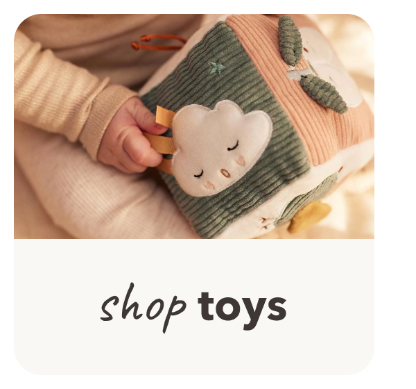 Shop toys