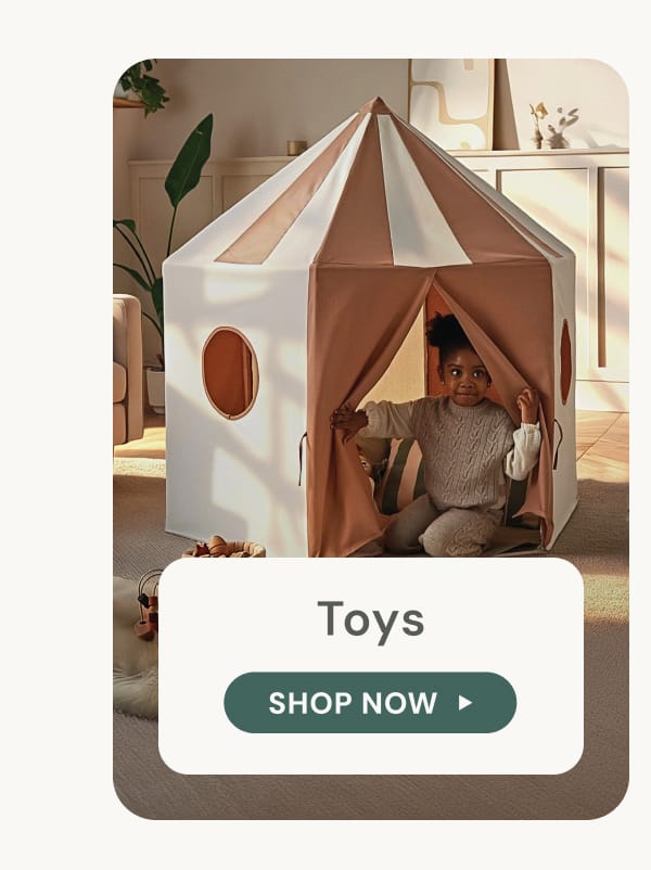 Toys - SHOP NOW