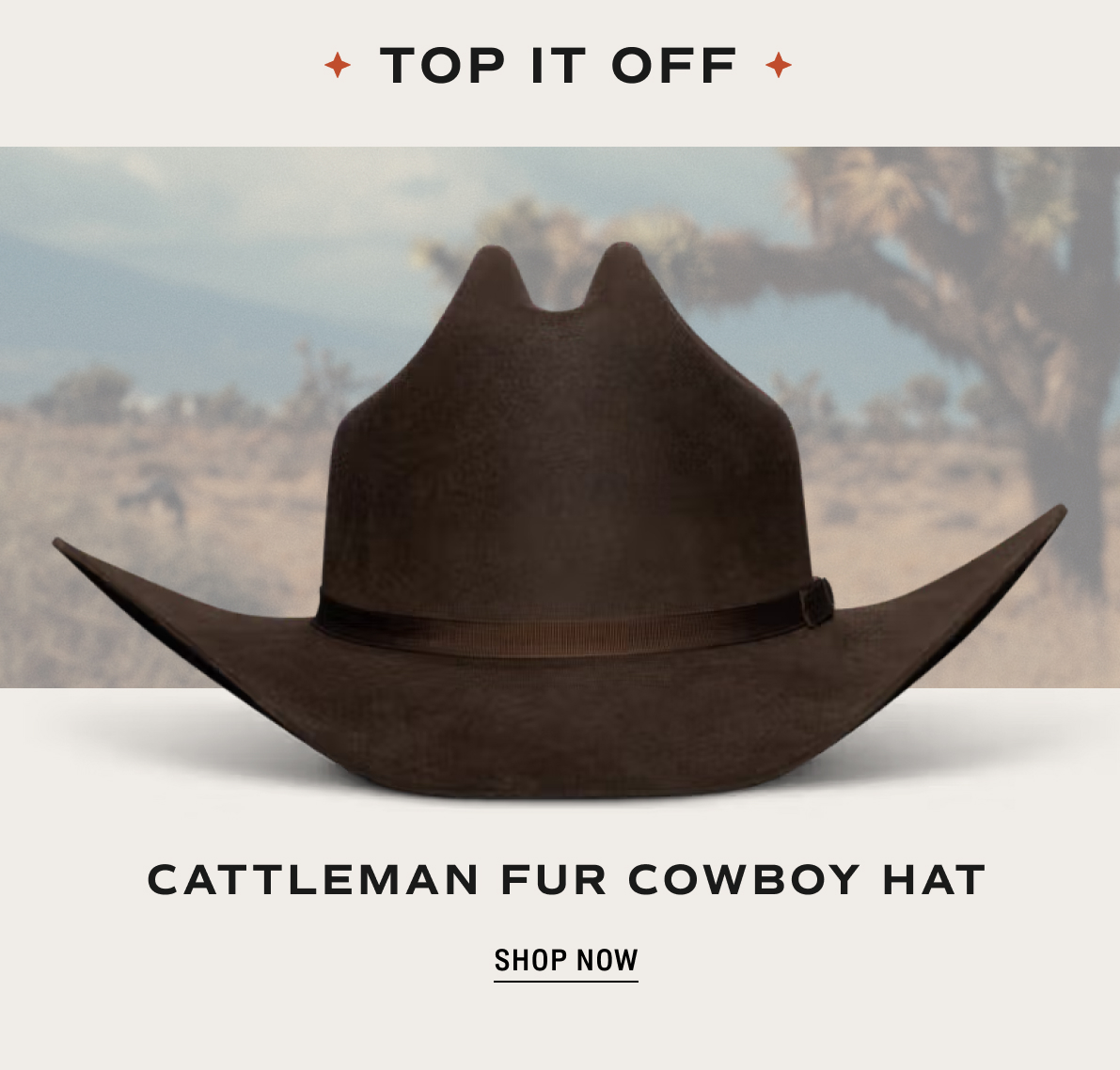Cattleman Fur Cowboy Hat 