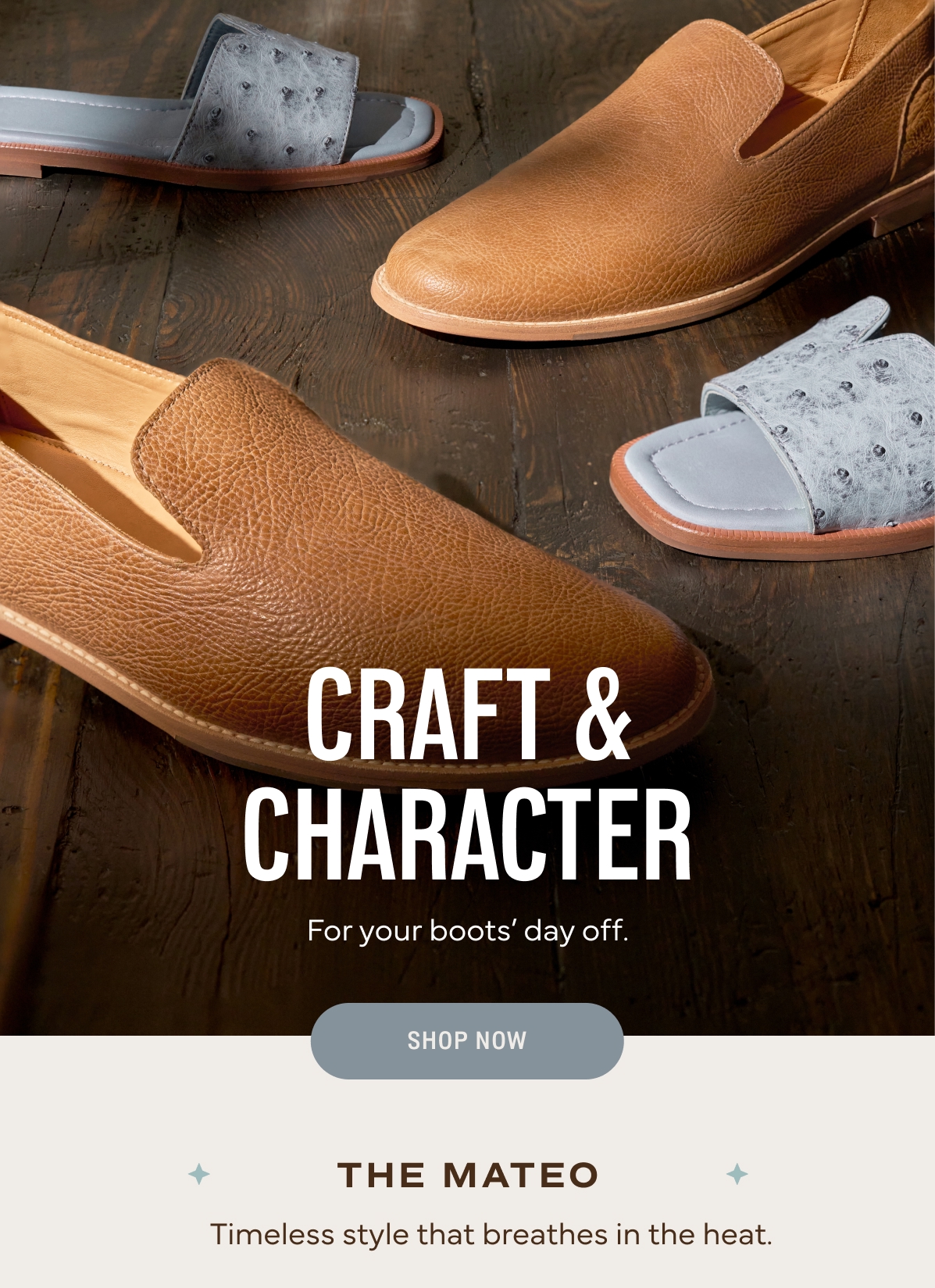 Shop Shoes 