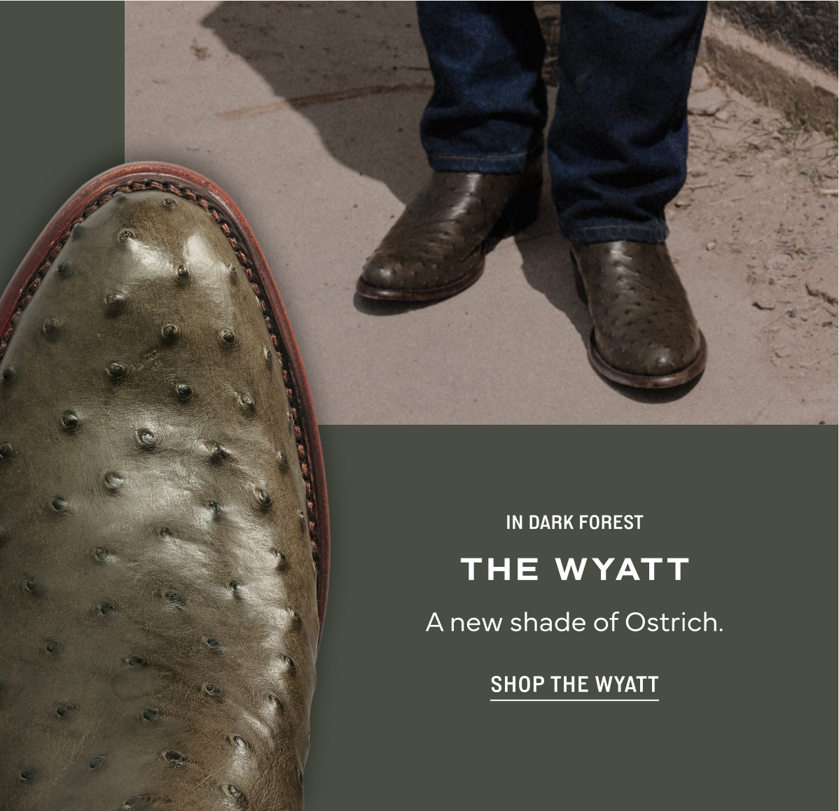 Shop Now: The Watt in Dark Forest 