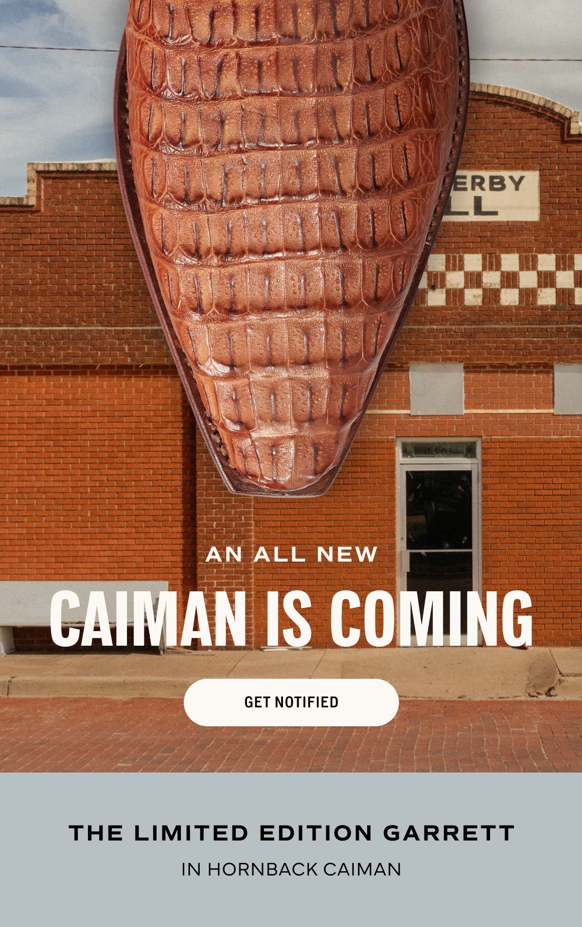 Get Notified 