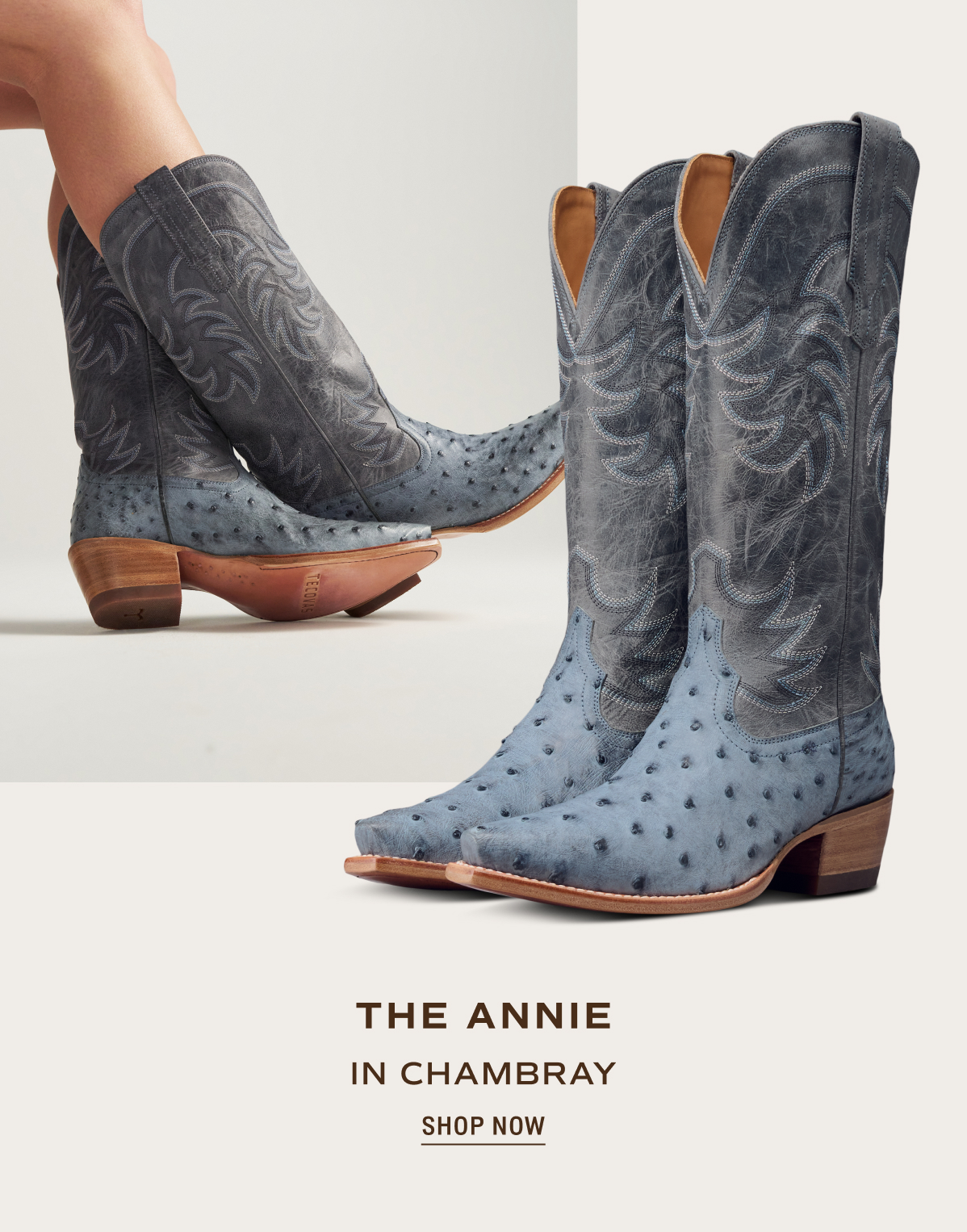 Shop Now: The Annie in Chambray 